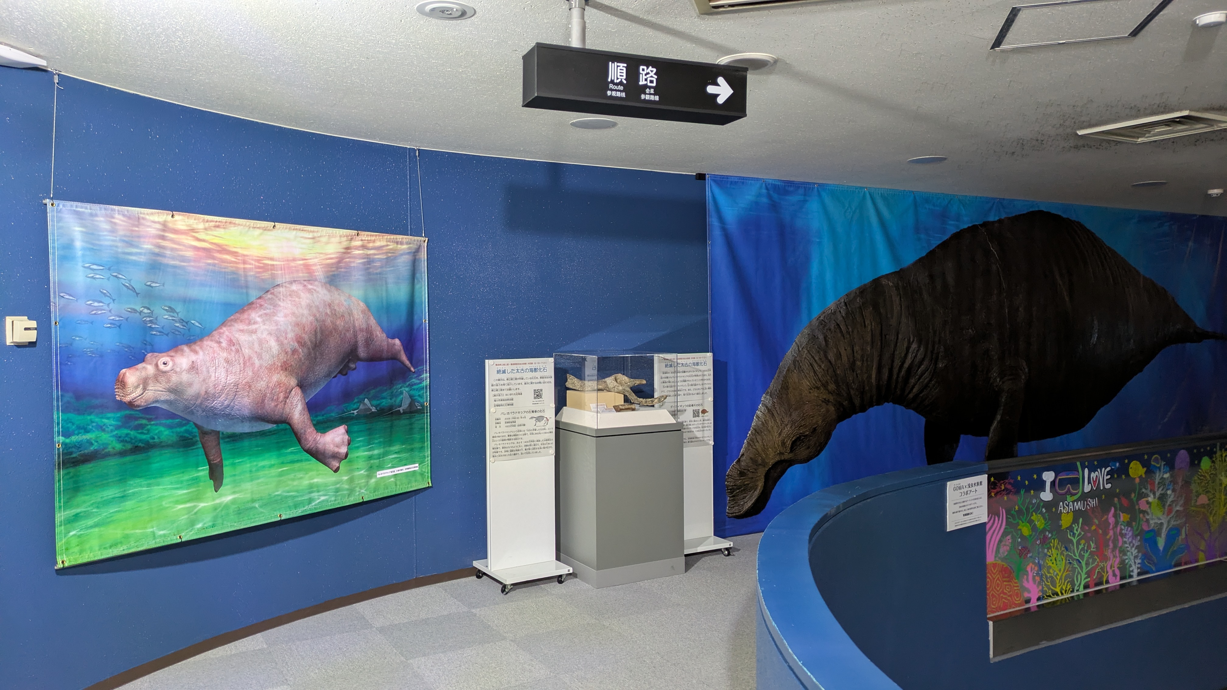 ダイカイギュウ展示の様子