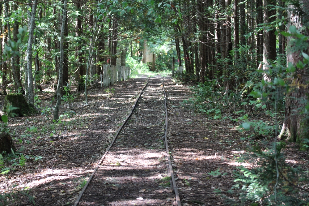ふるさとの物語 第32回 「薬研渓流の遊歩道」~森林鉄道の跡を活用~