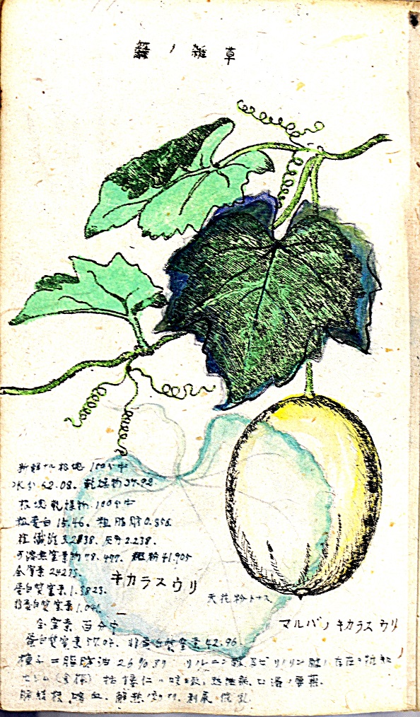 ふるさとの物語 第53回「佐藤雨山」~植物を精密かつ美しく~